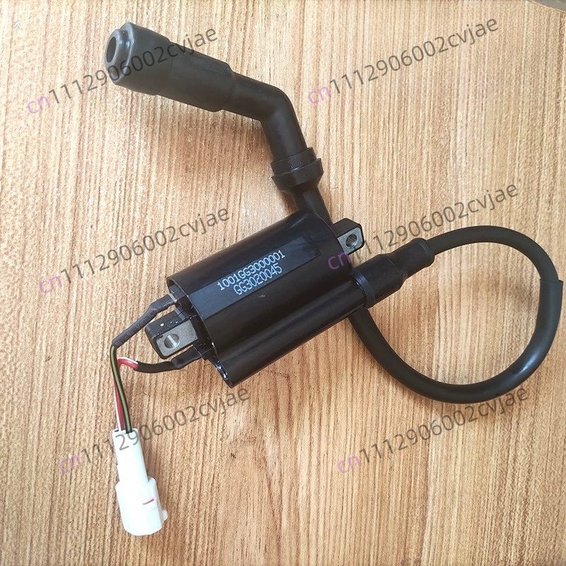 ZT310-V X T R1 2 Motorcycle Hi - Motorcycle Spark Plug ulasan dan harga