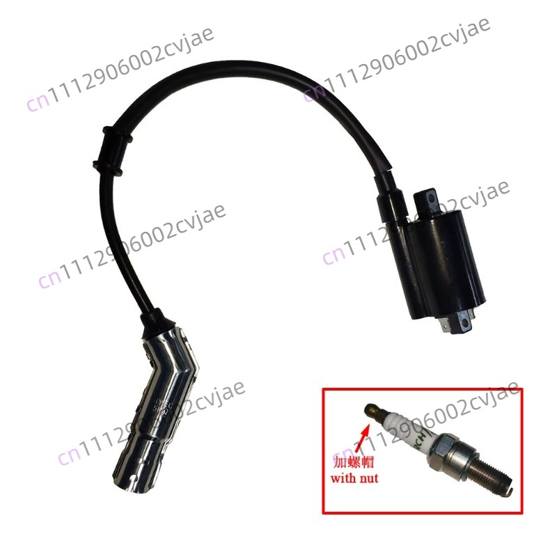 ZT310-V X T R1 2 Motorcycle Hi - Motorcycle Spark Plug ulasan dan harga